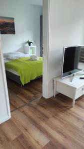 a bedroom with a bed and a flat screen tv at Zimmervermietung38 - Schäfer in Salzgitter