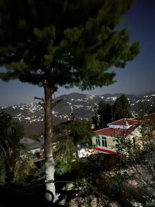 a pine tree in front of a house at Shangrilla House Murree, Bhurban in Murree