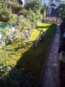 due biciclette parcheggiate nell'erba in un cortile di L'OASIS maisonnette centre ville 3 chambres terrasse espace vert privé parc sainte croix center parc 20 minutes a Sarrebourg