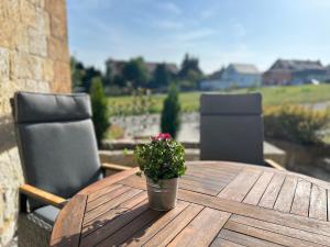 eine Topfpflanze auf einem Holztisch auf einer Terrasse in der Unterkunft Schlosspark Apartment I 80qm I 3 Betten I bei Pirna in Heidenau