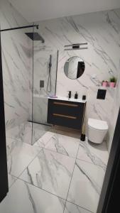 biała łazienka z umywalką i toaletą w obiekcie Apartament przy Parku Śląskim w mieście Katowice