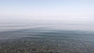 Paesaggio naturale nelle vicinanze dell'affittacamere
