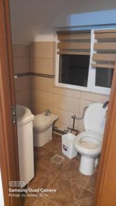 ein kleines Bad mit WC und Waschbecken in der Unterkunft La Nea' Ionica 
