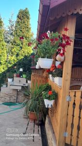 einen Garten mit Topfpflanzen auf einem Zaun in der Unterkunft La Nea' Ionica 