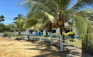 a group of palm trees in front of a house at Le Dona Kribi in Kribi