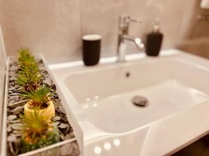 a bathroom sink with two potted plants on it at Apartment Vitale in Bologna +14 photos