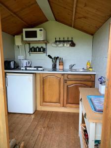a kitchen with a white refrigerator and a sink at Cherry Tree Glamping Lodge in Wellington