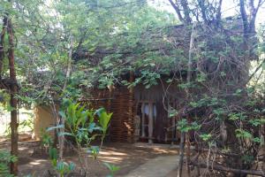 an old house in the woods with trees at Iharana Bush Camp in Ambondromifehy +32 photos