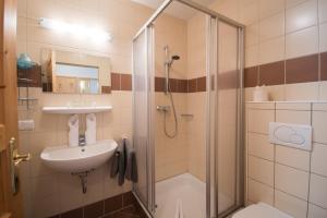 ein Bad mit einer Dusche und einem Waschbecken in der Unterkunft Haus Bliem in Flachau