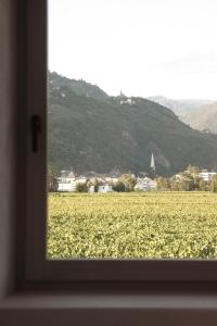 a view of a field of flowers from a window at Kaiserau-Höfl in Bolzano
