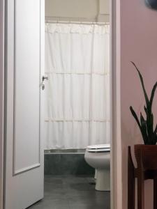 La salle de bains est pourvue de toilettes et d'un rideau de douche blanc. dans l'établissement Departamento de Noah, à Guaymallen