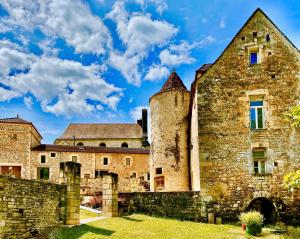 an old castle with a tower and a building at Domaine des Mauves in Berbiguières