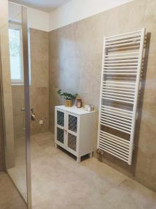 La salle de bains est pourvue d'une douche et d'une porte en verre. dans l'établissement Apartment Phoenix, à Štôla