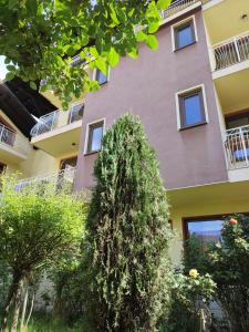 a building with a tree in front of it at Къща за гости M-Stone in Bansko