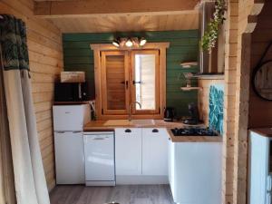 a kitchen with white appliances and green walls at l'Eden du sancerrois in Sens-Beaujeu
