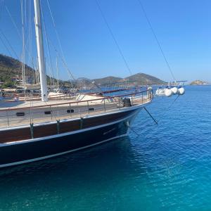 Fotografie z fotogalerie ubytování Bluemarmarisgulettour v destinaci Marmaris