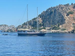 Fotografie z fotogalerie ubytování Bluemarmarisgulettour v destinaci Marmaris