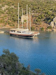 Fotografie z fotogalerie ubytování Bluemarmarisgulettour v destinaci Marmaris
