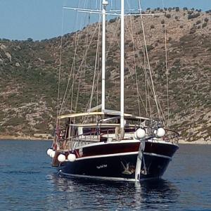 Fotografie z fotogalerie ubytování Bluemarmarisgulettour v destinaci Marmaris