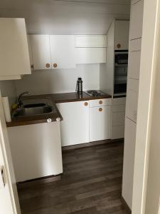 a small kitchen with white cabinets and a sink at Ruhige 2 Zimmer Wohnung in Diegten