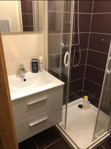 a bathroom with a shower and a sink at Studio à 300 m de la gare de Mantes-la-Jolie in Mantes-la-Jolie +76 photos