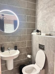 a bathroom with a sink and a toilet and a mirror at Shanroe Accommodation in Mullaghbane