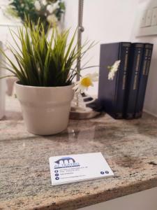 einen Tisch mit einer Topfpflanze und einer Karte darauf in der Unterkunft Al Teatro Suites in Foggia