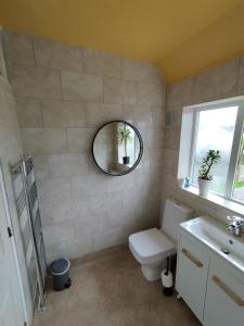 a bathroom with a toilet and a mirror at We love Henbury in Bristol