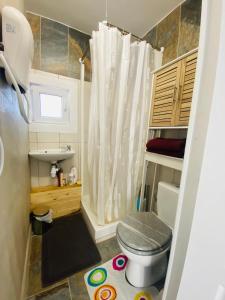 een kleine badkamer met een toilet en een wastafel bij Studio centre village Soligny la Trappe proche Mortagne au perche in Soligny-la-Trappe