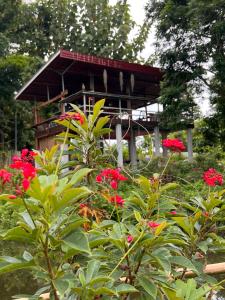 a gazebo with red flowers in a garden at มานาตาฟาร์มสเตย์ in Ban Thong Noi (1)
