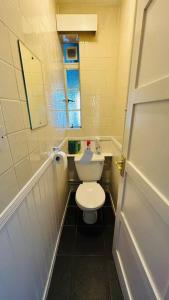 uma pequena casa de banho com WC e espelho em Traditional 3 Bed Flat In Highgate em Londres