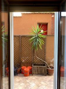 Blick auf eine Terrasse mit Topfpflanze in der Unterkunft Clivo lovely house-Vatican home in Rom