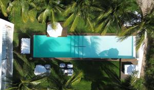 雅帕拉廷加的住宿－Pe na Areia Boutique Hotel，享有游泳池和棕榈树的上方景色