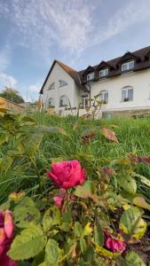 a pink rose in the grass in front of a house at Apartmány Maňová 