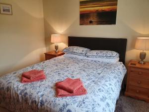 a bedroom with a bed with two red pillows on it at Ash Cottage in Stranraer