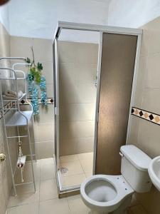 La salle de bains est pourvue d'une douche, de toilettes et d'un lavabo. dans l'établissement Casa completa y céntrica en Gómez Palacio, à Gómez Palacio