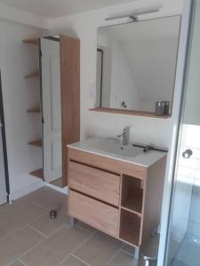 een badkamer met een wastafel en een spiegel bij Gîte des Vergers in Saint-Pierre-du-Regard
