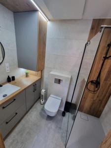 a bathroom with a toilet and a sink and a shower at Apartament LuxLoft2 in Piechowice