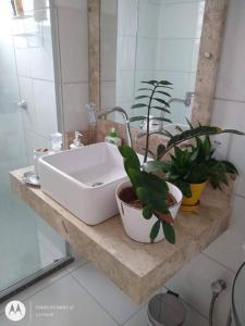 a bathroom sink with potted plants on a counter at Petrolina in Petrolina
