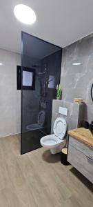 uma casa de banho com um WC e um chuveiro em כוכב הצפון em Quriate-Chemoná