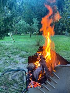 un fuego en una parrilla en un campo en CHALET Tout Confort Proche d AX Les Thermes en Vèbre