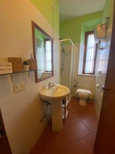 y baño con lavabo y aseo. en Notti Etrusche a Sovana, en Sovana