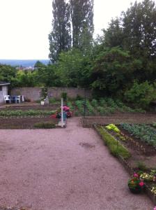 a garden with flowers and plants in a yard at Melitine in Saint-Amand-Montrond