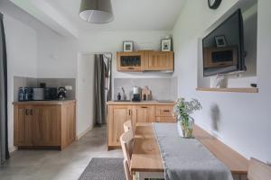 Kuchyňa alebo kuchynka v ubytovaní Apartamenty Przystanek Grapa