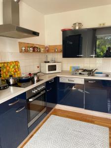 una cocina con armarios azules y electrodomésticos blancos en Am Birkenhain en Titisee-Neustadt