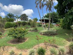 a garden with palm trees and plants on a field at Finca Monte del Sol in Quimbaya