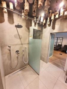La salle de bains est pourvue d'une douche avec une porte en verre. dans l'établissement Weinlandzauber An der Lage, à Spielfeld