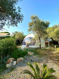 una tenda a cupola in un campo con un albero di Glamping Domes San Martino a Itri