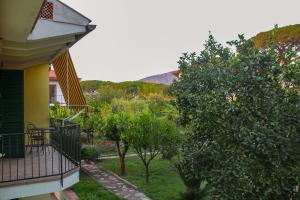 a balcony of a house with a yard with trees at B&B Massico Apartments in Sant'Agnello