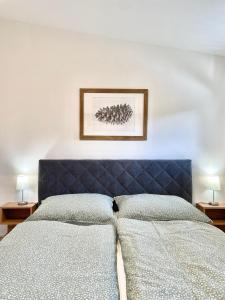 ロキトニツェ・ナト・イゼロウにあるmy Vistaのベッドルーム1室(青いヘッドボード付)